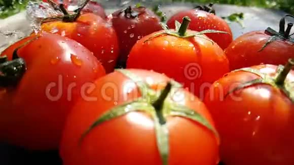 烤红番茄和青菜浇水视频的预览图