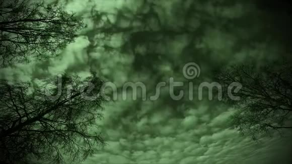 诡异的深绿色天空缓慢移动的云和贫瘠的桦树视频的预览图