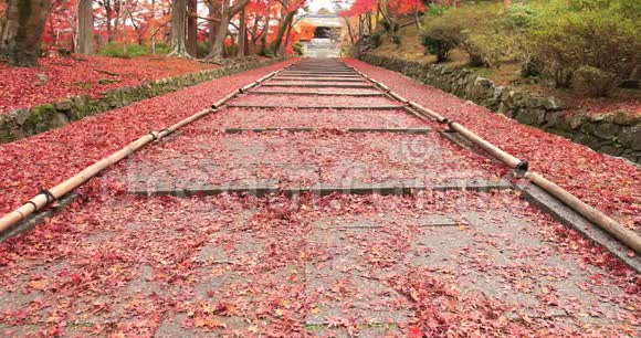 秋日在京都雅马西纳区的Bishamondou的红叶视频的预览图
