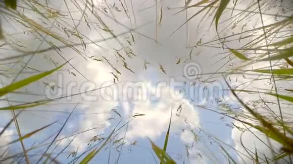 天空的景色白云躺在草地上视频的预览图