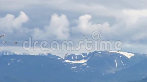 海鸥飞过多云的山脉视频的预览图