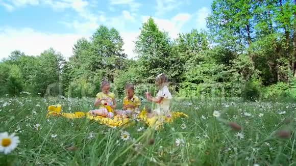 在一片洋甘菊的草地上靠近一片森林草地上有三个孩子在一个黄色的格子上他们喝着甜饮料视频的预览图