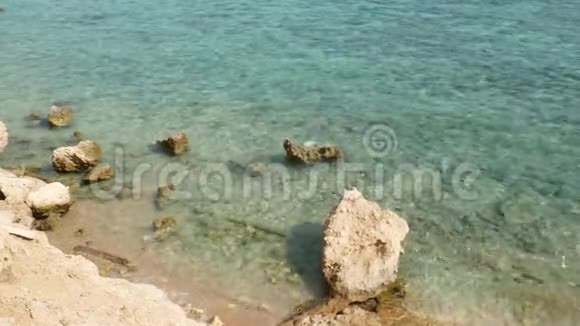 海水或海水与石化的珊瑚石视频的预览图