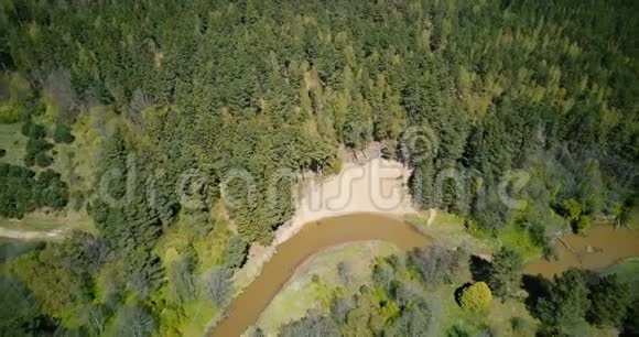 无人机在宁静的秋天河畔大自然中旋转空中4K垂直拍摄温暖的阳光森林河流和小海滩视频的预览图