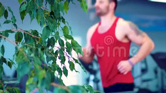 男子在运动健身房的跑步机上锻炼和跑步视频的预览图