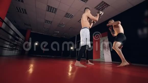 两名拳击手在拳击馆锻炼慢动作视频的预览图