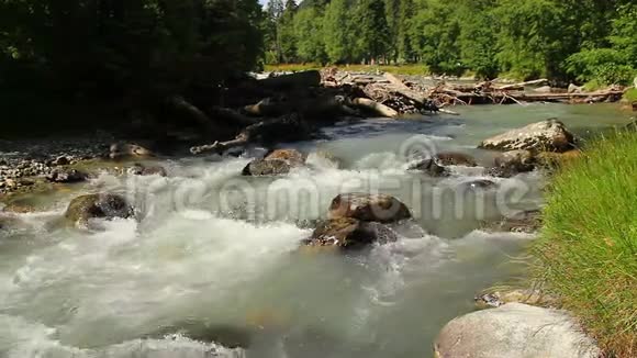 急流和山涧中的大型木质碎片湍急的水流视频的预览图
