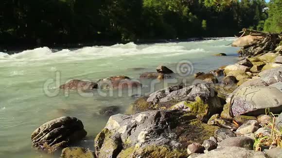 在湍急的河流山涧野生动物中的岩石视频的预览图