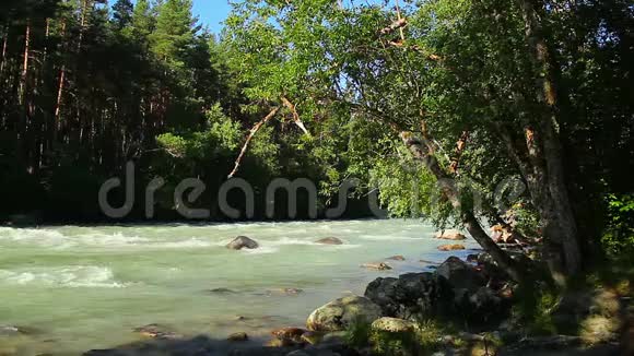 美丽的河流在树林山脉岩石中流淌视频的预览图