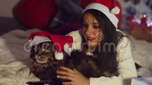 戴着圣诞帽的年轻迷人女子微笑带着一只大猫品种的黄颜色的圣诞灯的黄鼠狼视频的预览图