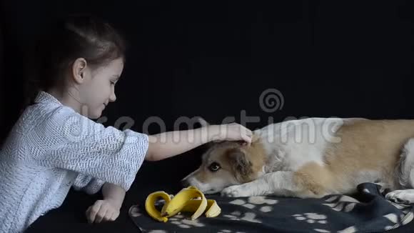 小女孩抚摸着狗提供一个玩具视频的预览图