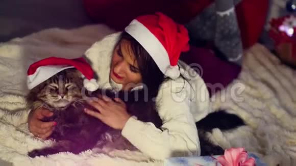 戴着圣诞帽的年轻迷人女子微笑带着一只大猫品种的黄颜色的圣诞灯的黄鼠狼视频的预览图