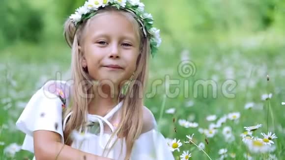 肖像金发女孩孩子坐在草地上在雏菊中在洋甘菊的草地上她崇拜雏菊视频的预览图