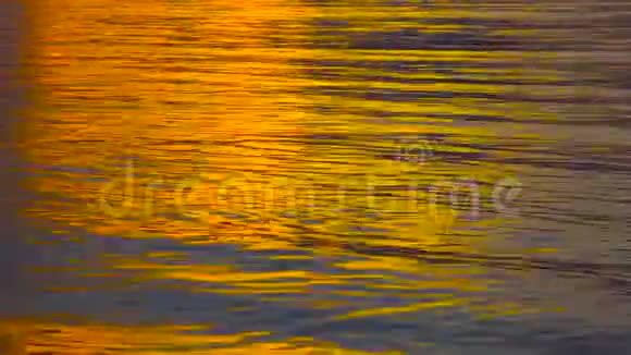 清晨日出夏日金光海水美丽闪耀4KUHD视频剪辑视频的预览图