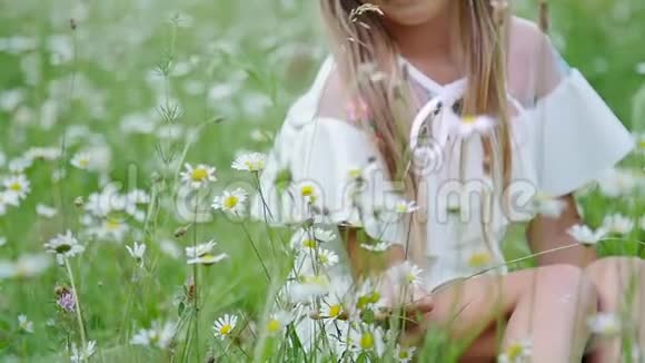 肖像金发女孩孩子坐在草地上在雏菊中在洋甘菊的草地上她崇拜雏菊视频的预览图