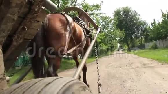 乡村替罪羊骑着马载着手推车视频的预览图
