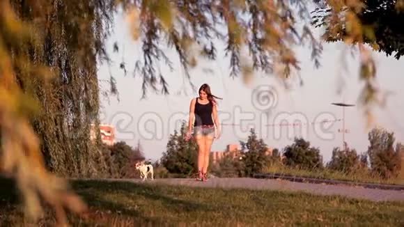 日落时分可爱的女孩和狗在公园里散步视频的预览图