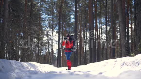 在森林里徒步旅行很有吸引力活跃的女性在冬季远足森林耙图片慢动作视频的预览图