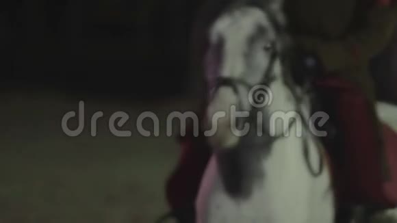 中世纪骑着一匹漂亮的纯种白马的特使视频的预览图