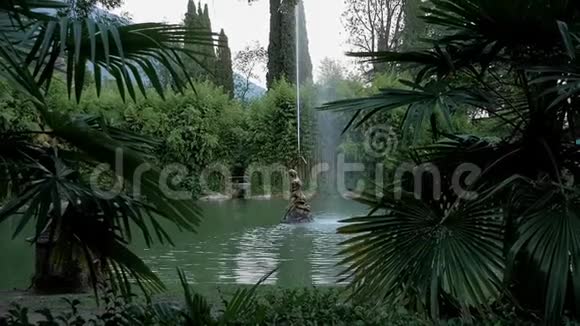 热带的老喷泉加格拉阿布哈兹视频的预览图