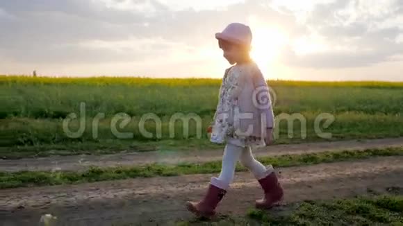 快乐微笑的女孩子花田野的肖像背景背光行走的可爱的小女孩有孩子的孩子视频的预览图