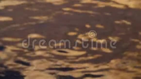 水的金色倒影视频的预览图