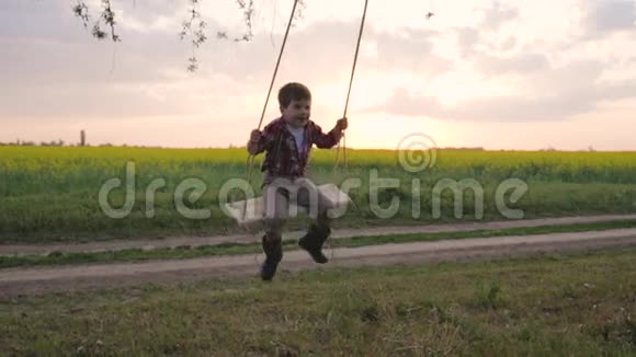 小男孩骑在秋千上男孩子在树枝上摇摆快乐孩子的肖像在公园里休息孩子玩得开心视频的预览图