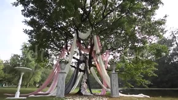 为婚礼装饰的漂亮大树视频的预览图