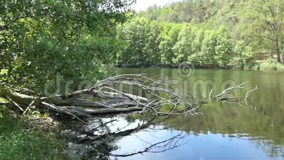 夏季的湖泊景观德国哈弗兰的乡村视频的预览图
