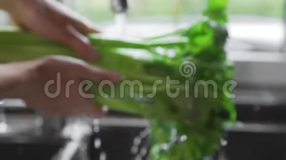 女人在厨房的流水下洗蔬菜做沙拉新鲜蔬菜维生素和视频的预览图