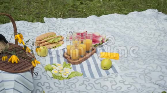 户外吃饭的概念在公园里野餐煮玉米鸡蛋西瓜果汁视频的预览图