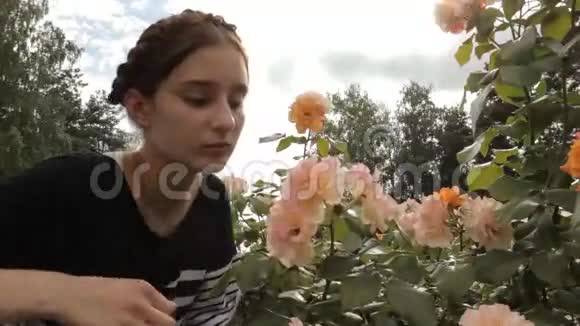 女孩嗅着玫瑰丛中的玫瑰视频的预览图