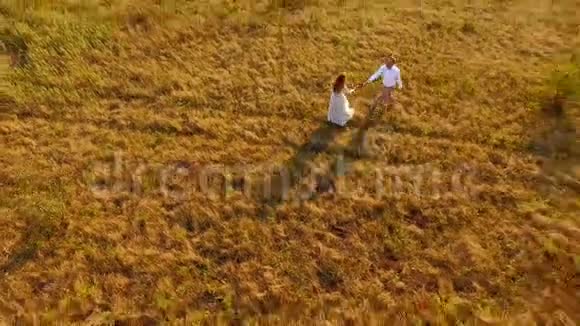 快乐的一对夫妇玩得很开心爱的一对夫妇享受大自然在田野上的生活空中飞行从上面看视频的预览图