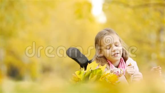 秋天带着黄叶花束的可爱小女孩的肖像美丽微笑的孩子躺在树叶地毯上视频的预览图