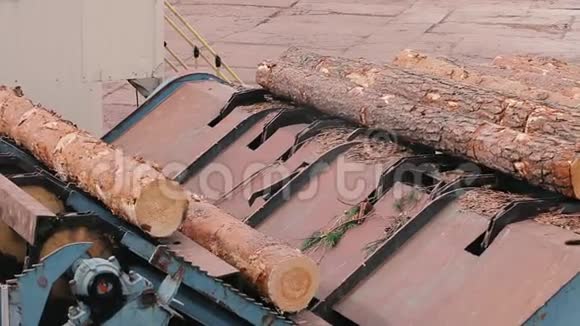 木材生产木工加工原木锯木厂的原木沿着传送带移动视频的预览图