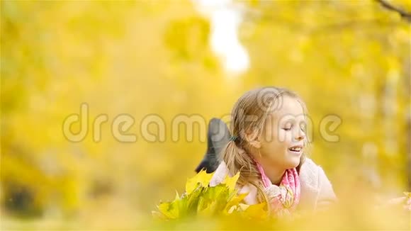 秋天带着黄叶花束的可爱小女孩的肖像美丽微笑的孩子躺在树叶地毯上视频的预览图
