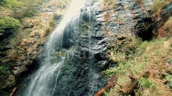 森林中的岩石上的瀑布视频的预览图