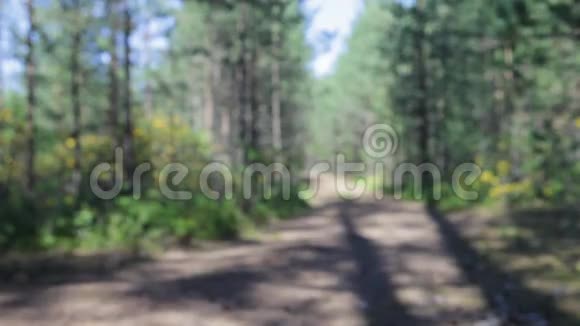一个人独自穿过森林在森林里散步游客休息视频的预览图