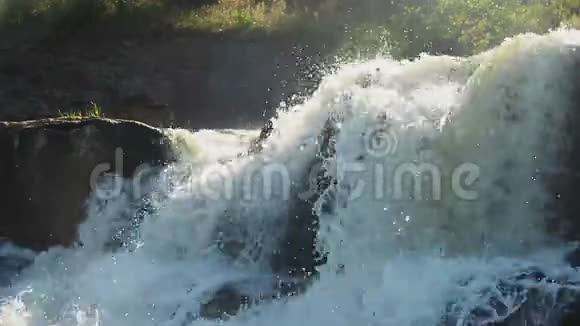 树林中的野生瀑布水流在岩石上快速流过视频的预览图