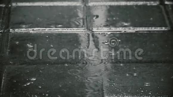 雨滴落在地上慢动作黑白镜头视频的预览图