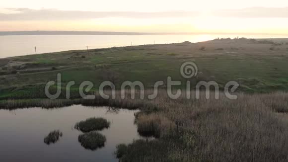 日落时分在大湖上空盘旋周围是绿色的田野有芦苇和青蛙的池塘和利马视频的预览图
