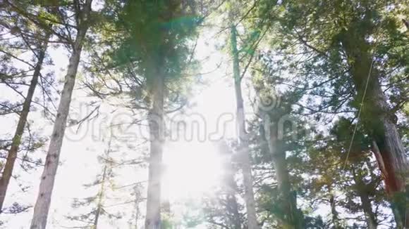 倾斜运动之间的托罗石灯和太阳视频的预览图