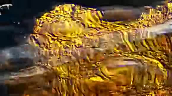 黄金水域缓慢运动视频的预览图