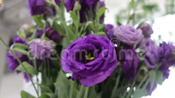 美丽的紫罗兰玫瑰花束视频的预览图