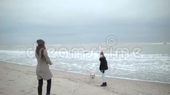 两个年轻的女朋友正和一只狗沿着海滩散步视频的预览图