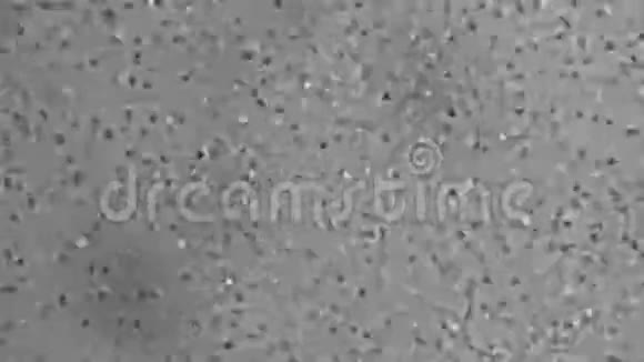 酵母细胞视频的预览图