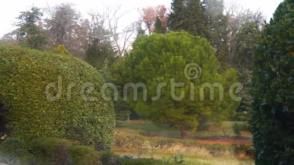 利瓦迪亚宫公园的植物视频的预览图