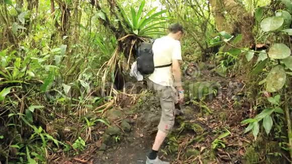 游客在雨林中散步视频的预览图