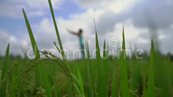 一个年轻女子在美丽的稻田里练习瑜伽的慢动作稳定镜头视频的预览图