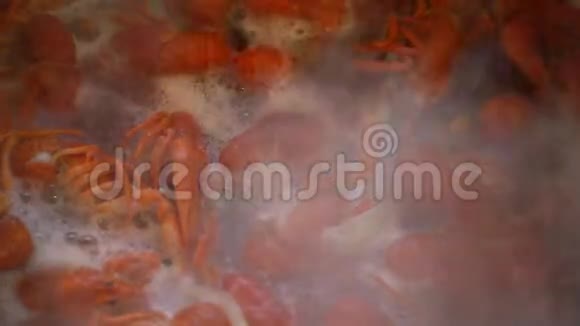 红煮小龙虾特写在平底锅上视频的预览图
